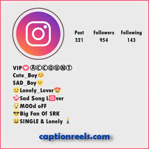 alone bio for instagram